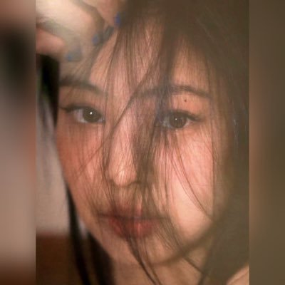 she/her | 🐻🦋💎 | multi-stan life | Forza Ferrari