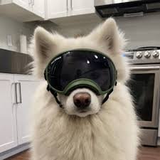 Nem0cs2's profile picture. 13/yo
AWPer
ESP Jr ACD