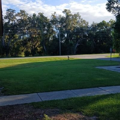 KateHoward88713's profile picture. 