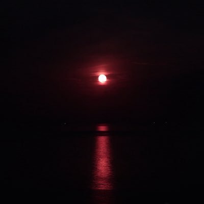 Curleypussycat's profile picture. 