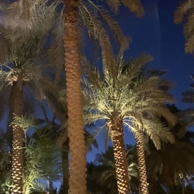 T___0o0o's profile picture. . كشجرة طيبة .. اصلها ثابت و فرعها بالسماء ..