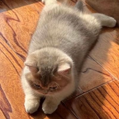 Suci846820's profile picture. 