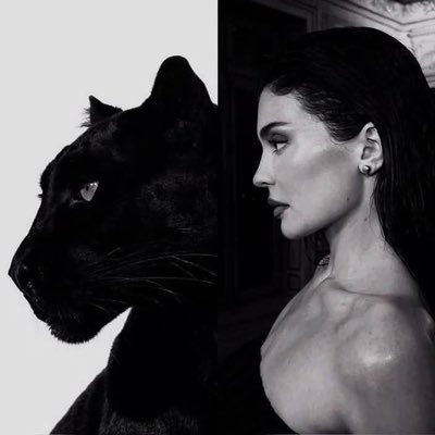 ii_f773's profile picture. رُبمامُنتجـه معدّة البرنامج