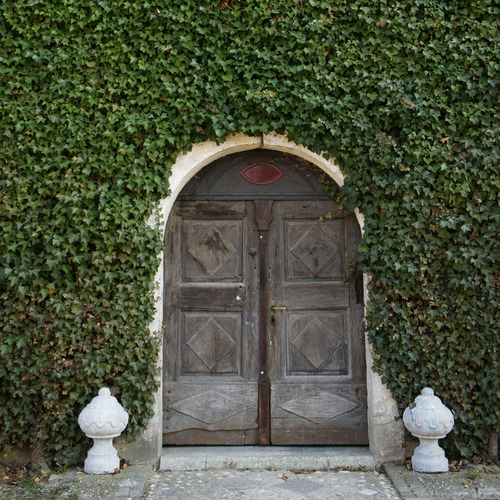 drustvoARTI's profile picture. 