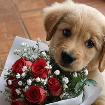 Tammy138919's profile picture. finding a serious, loving, reliable and loyal person.  I would like them to be cheerful and to have a good sense of humor like positive people.