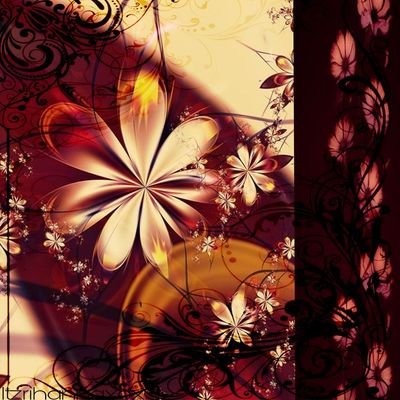 beeesouro's profile picture. oi laila amor saiba que eu te amo muito