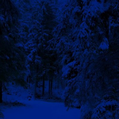 zeawoters's profile picture. 