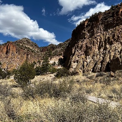 bornlifted's profile picture. There's beauty in the struggle, ugliness in the success.