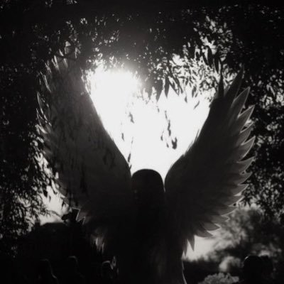 3jdll's profile picture. 