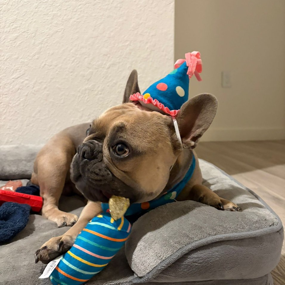 LolimarAlcvdi9's profile picture. 