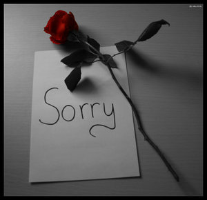 SaeeD_DarraJ's profile picture. 