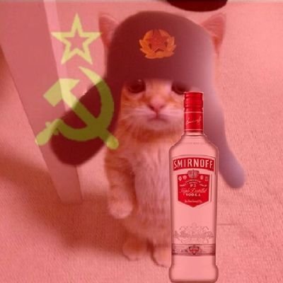 zaltanabox's profile picture. A única  que me entenderia foi queimada numa fogueira  30/05/1431!