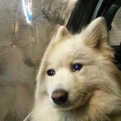 mumurii0203's profile picture. multifandom || i draw whatever I like....‼️using my art is OK as long as theres credit‼️‼️