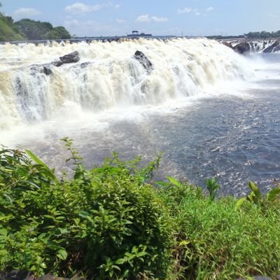 EstefaniaDa47's profile picture. Licda Administración RRHH.