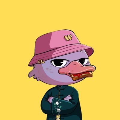 ALTCOIN4LIFE123's profile picture. 