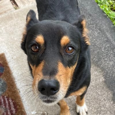 universe2519's profile picture. THE WORLD IS CHANGING FOLLOW BACK NO POVERTY SOCIALIST DEM NO-MAGA NO-ICE NO-TRUMP NO LIES  NO HATE UNDERSTAND REALITY NO WAR HUMAN RIGHTS BLOCK MAGA NO-SCOTUS