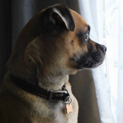 sp33dy711's profile picture. Mature gamer, 50+ just looking for fun times and a laugh in game :)