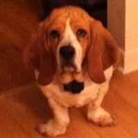 John Anderson - JEA2880 Sports Cards (@jeasportscards) 's Twitter Profile Photo