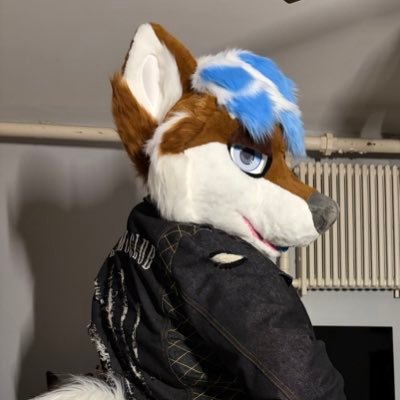 Winterberry302's profile picture. 🩵💚💙 @awliveyeena @pearce_da_wolf 💙💚🩵 -Poly-ΘΔ-🏳️‍🌈-SFW-| hockey dog #yotes #NYR| Destiny 1&2 no life | @HeadsandTailsAZ suiter