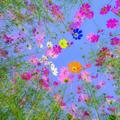 outsourcing88's profile picture. 