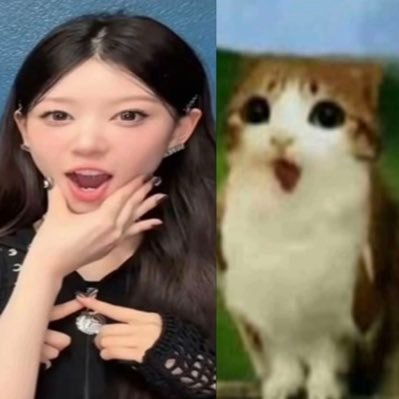 sirenwaltz's profile picture. do do do do do da da da da da