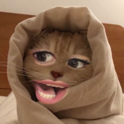 samina_if's profile picture. 