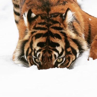 TropFromTheDead's profile picture. dj/producer @mancity