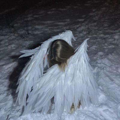 iFullOfBloom's profile picture. 