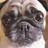 ste4345's profile image