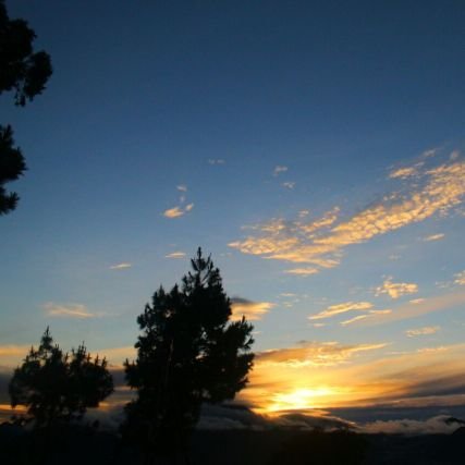 missasbun's profile picture. asbun