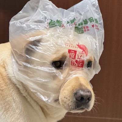 antostefaniaa's profile picture. There just jealous because your creative and free