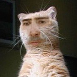 nangmanmeowmeow's profile picture. 개소리 죄송합니다 몸과 맘이 아프네요