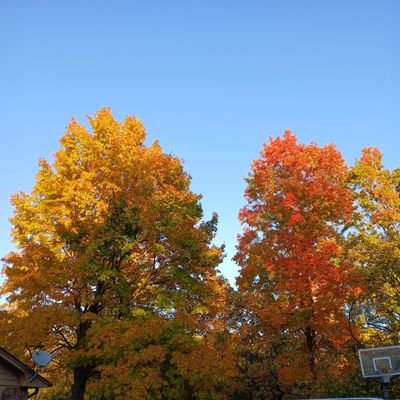 Hurrysnoo's profile picture. Architectural,mechanical adjustment,photographer...

 thank you DEAR GOD