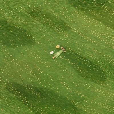 prtwua's profile picture. 