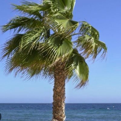 pk161375's profile picture. 