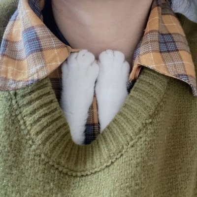 tiiikiilac's profile picture. 