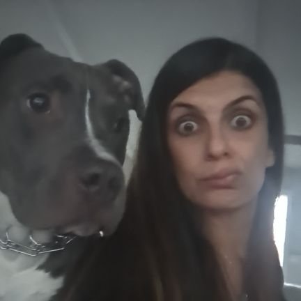 Vivs58's profile picture. ♉ Assyrian. Football. Blackhawks. True crime TV. Missing my angel everyday 04.13.08. 🙏