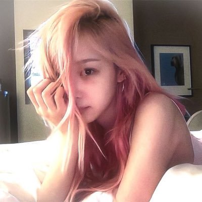 amourisla's profile picture. https://t.co/8vsOIfkC0O amor, veiled in beauty, whispers through the quiet dawn. ⭒