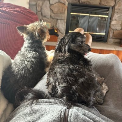 edwin_brannan's profile picture. 