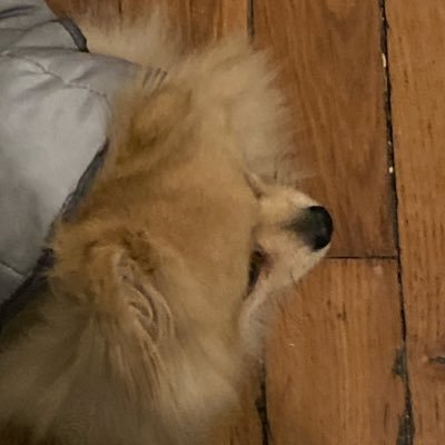 heyitsmenada's profile picture. 