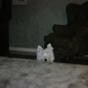 Casey Jasper - @CaseyJasper123 - Twitter