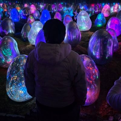 crypstockss's profile picture. 再见.