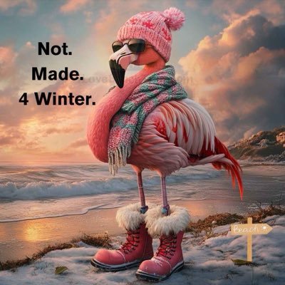 LLHardacre's profile picture. Retired President OPSEU Local 237 Retired Professor Early Childhood Education