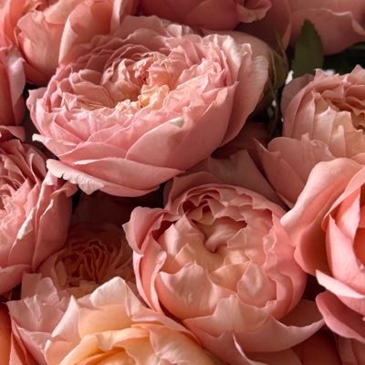 urebesho's profile picture. 