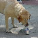 Mike Spell - @serviceman20 - Twitter