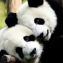 sandra sasso - @SsSasso - Twitter