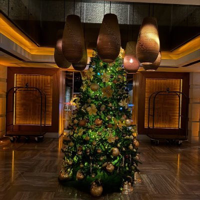 IllaKlinnert691's profile picture. 🏕️ Hiking enthusiast | ⛰️ Love exploring new heights | 🎒 Camping expert | 🎣 Fishing expert | 🏌️ Golf enthusiast | 🌊 Beach dreamer | Follow the footsteps an