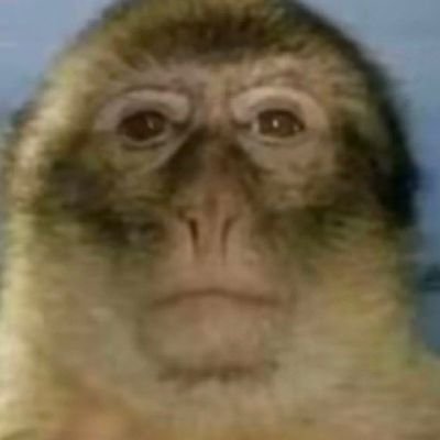 DARTHJONGIN's profile picture. 