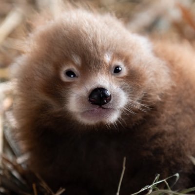 urfaveviee's profile picture. 