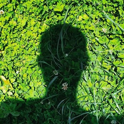 Florthep's profile picture. Qué gran fiesta nos perdimos...